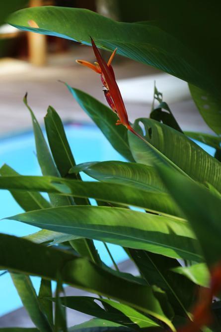 Villa Vermelha - Altos De Trancoso Zewnętrze zdjęcie